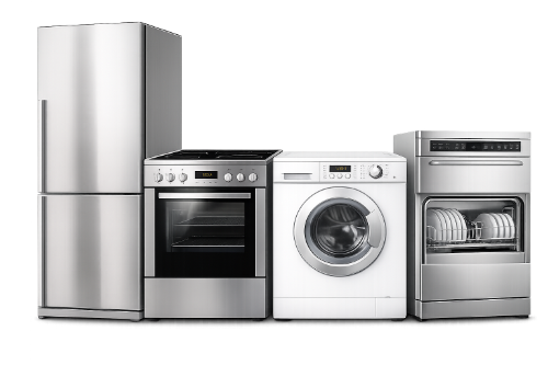 domestici1